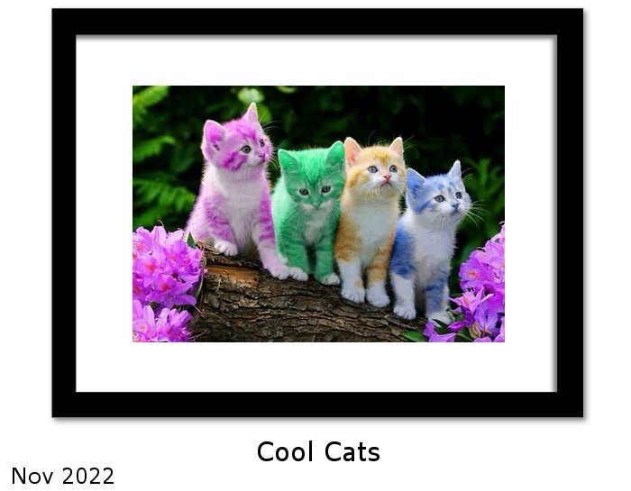 Cool Cats Framed Art Print